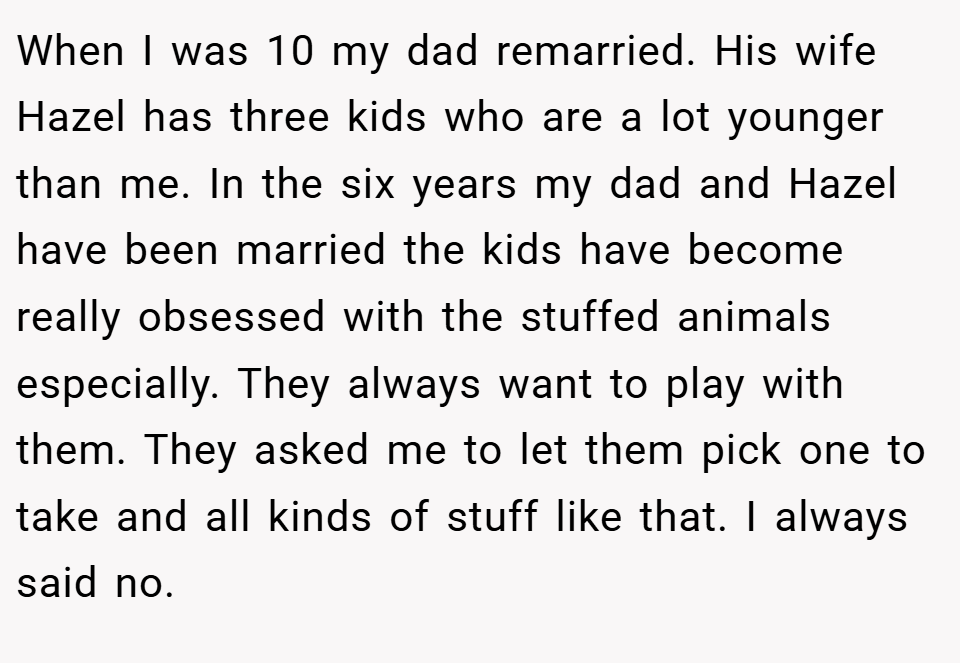 When I was 10 my dad remarried. His wife Hazel has three kids who are a lot younger than me. In the six years my dad and Hazel have been married the kids have become really obsessed with the stuffed animals especially. They always want to play with them. They asked me to let them pick one to take and all kinds of stuff like that. I always said no.