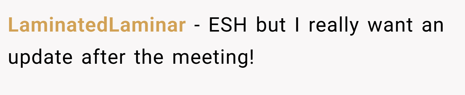 LaminatedLaminar − ESH but I really want an update after the meeting!