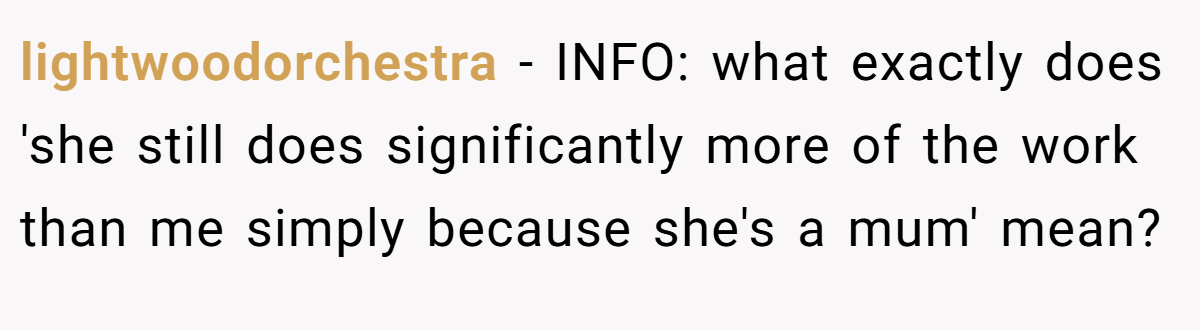 lightwoodorchestra - INFO: what exactly does 'she still does significantly more of the work than me simply because she's a mum' mean?