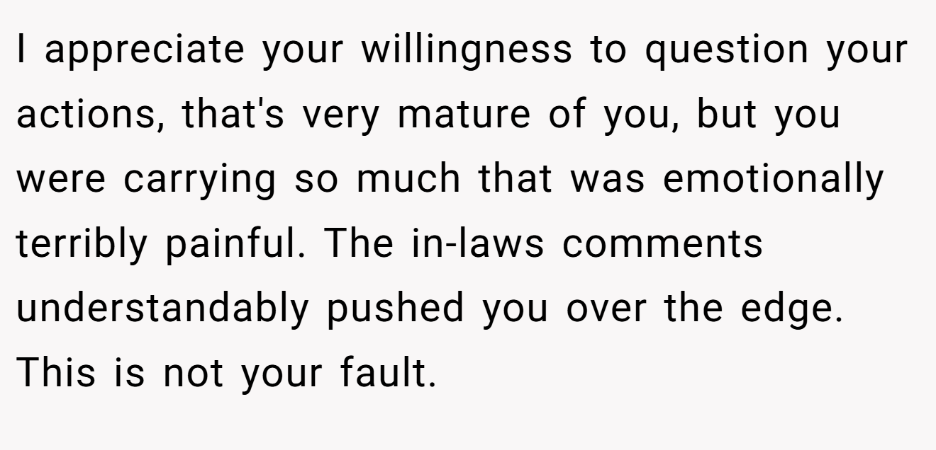 I appreciate your willingness to question your actions, that's very mature of you, but you were carrying so much that was emotionally terribly painful. The in-laws comments understandably pushed you over the edge. This is not your fault.