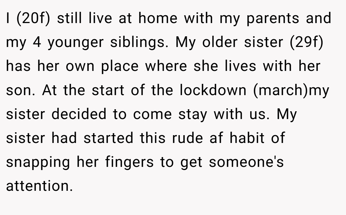 I (20f) still live at home with my parents and my 4 younger siblings. My older sister (29f) has her own place where she lives with her son. At the start of the lockdown (march)my sister decided to come stay with us. My sister had started this rude af habit of snapping her fingers to get someone's attention.