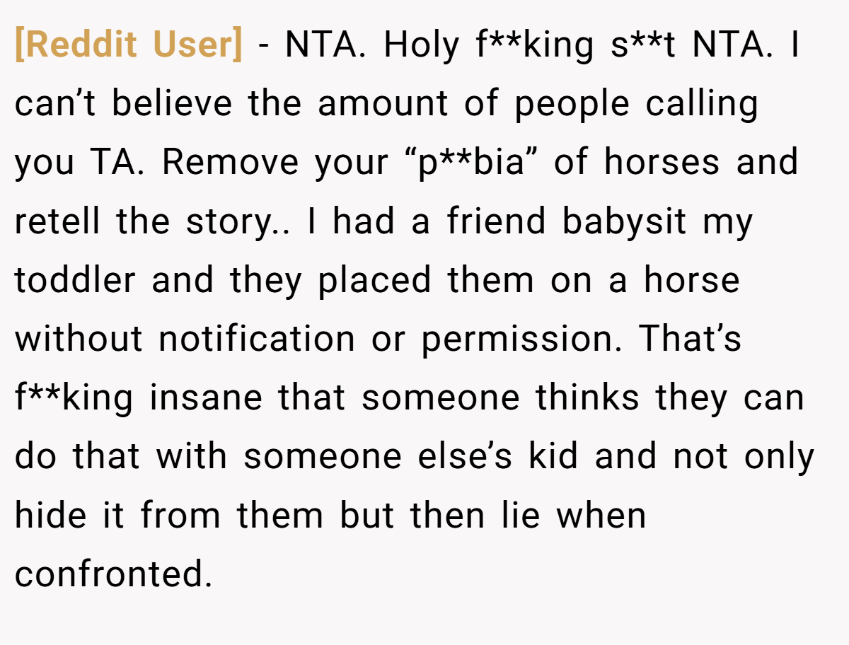 [Reddit User] − NTA. Holy f**king s**t NTA. I can’t believe the amount of people calling you TA. Remove your “p**bia” of horses and retell the story.. I had a friend babysit my toddler and they placed them on a horse without notification or permission. That’s f**king insane that someone thinks they can do that with someone else’s kid and not only hide it from them but then lie when confronted.