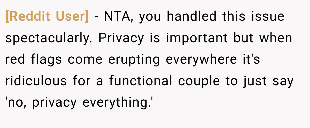 [Reddit User] - NTA, you handled this issue spectacularly. Privacy is important but when red flags come erupting everywhere it's ridiculous for a functional couple to just say 'no, privacy everything.'