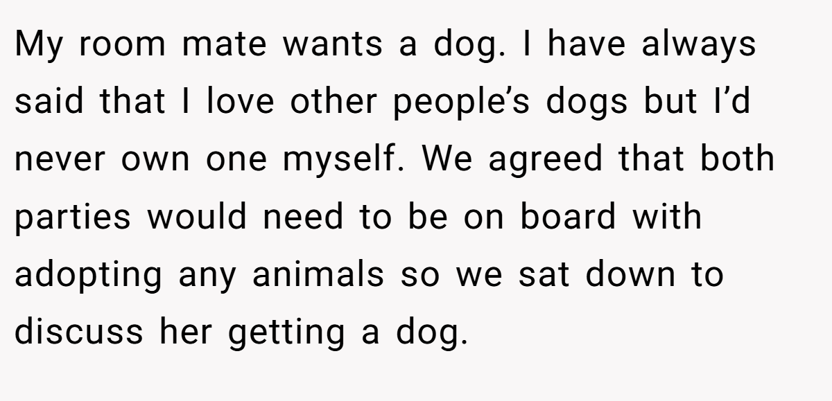 My room mate wants a dog. I have always said that I love other people’s dogs but I’d never own one myself. We agreed that both parties would need to be on board with adopting any animals so we sat down to discuss her getting a dog.