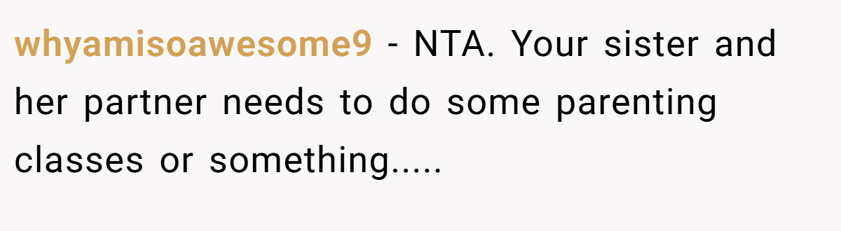 whyamisoawesome9 − NTA. Your sister and her partner needs to do some parenting classes or something.....