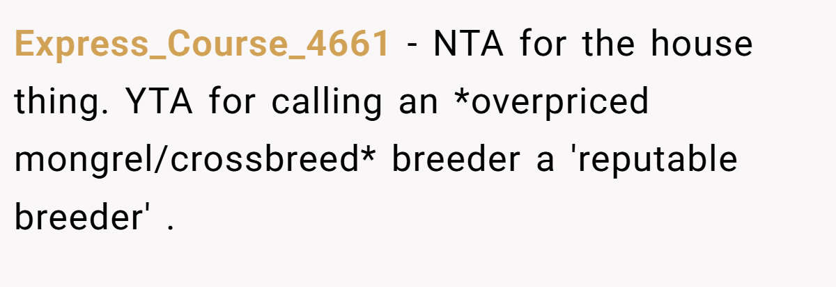 Express_Course_4661 − NTA for the house thing. YTA for calling an *overpriced mongrel/crossbreed* breeder a 'reputable breeder' .