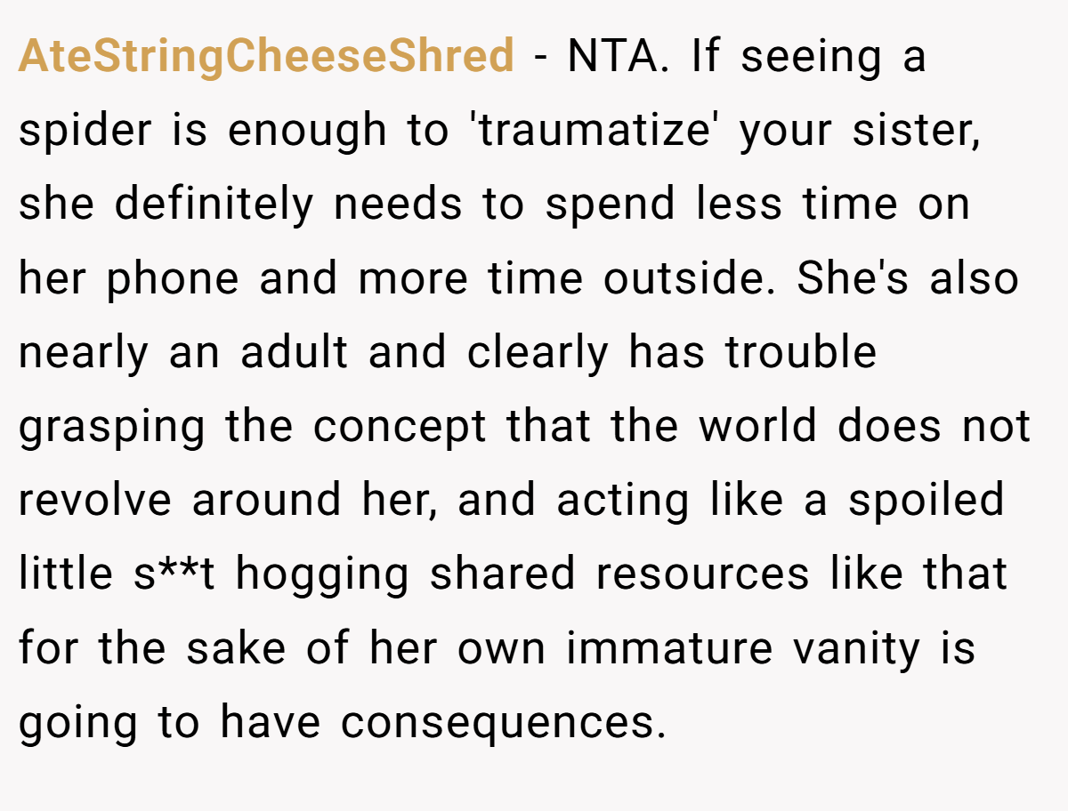 AteStringCheeseShred − NTA. If seeing a spider is enough to 'traumatize' your sister, she definitely needs to spend less time on her phone and more time outside. She's also nearly an adult and clearly has trouble grasping the concept that the world does not revolve around her, and acting like a spoiled little s**t hogging shared resources like that for the sake of her own immature vanity is going to have consequences.