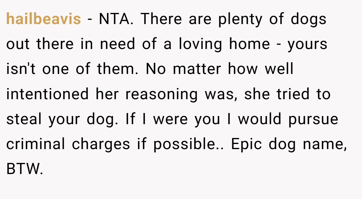 hailbeavis − NTA. There are plenty of dogs out there in need of a loving home - yours isn't one of them. No matter how well intentioned her reasoning was, she tried to steal your dog. If I were you I would pursue criminal charges if possible.. Epic dog name, BTW.
