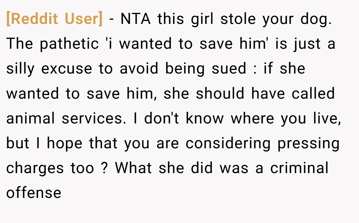 [Reddit User] − NTA this girl stole your dog. The pathetic 'i wanted to save him' is just a silly excuse to avoid being sued : if she wanted to save him, she should have called animal services. I don't know where you live, but I hope that you are considering pressing charges too ? What she did was a criminal offense