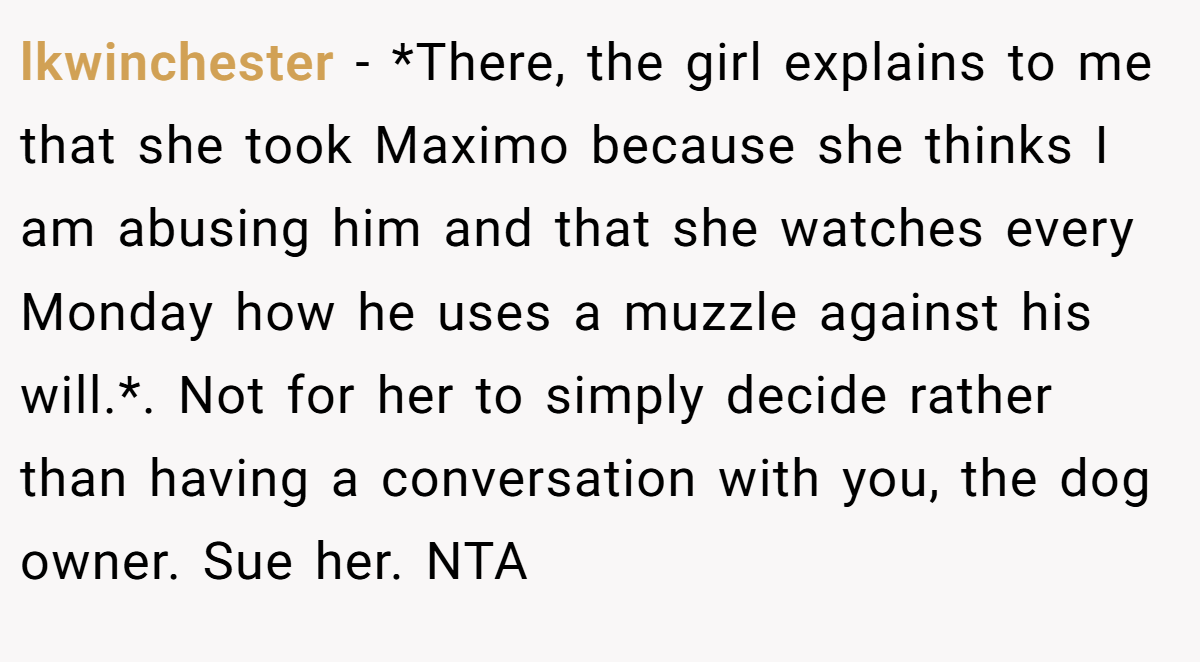 lkwinchester − *There, the girl explains to me that she took Maximo because she thinks I am abusing him and that she watches every Monday how he uses a muzzle against his will.*. Not for her to simply decide rather than having a conversation with you, the dog owner. Sue her. NTA