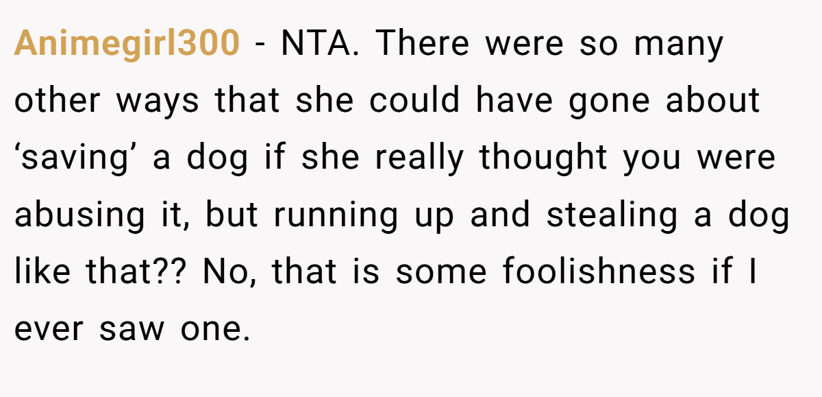 Animegirl300 − NTA. There were so many other ways that she could have gone about ‘saving’ a dog if she really thought you were abusing it, but running up and stealing a dog like that?? No, that is some foolishness if I ever saw one.