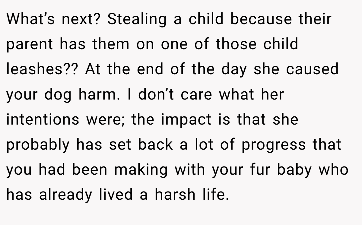 What’s next? Stealing a child because their parent has them on one of those child leashes?? At the end of the day she caused your dog harm. I don’t care what her intentions were; the impact is that she probably has set back a lot of progress that you had been making with your fur baby who has already lived a harsh life.