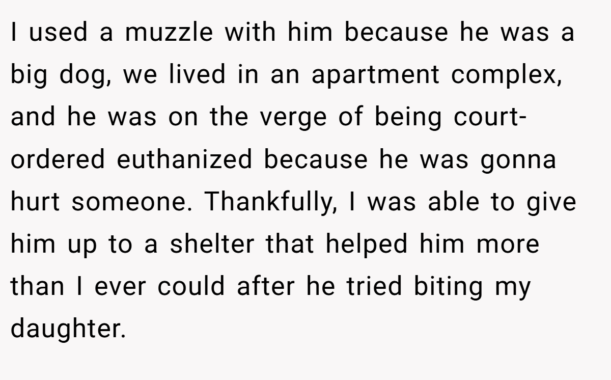 I used a muzzle with him because he was a big dog, we lived in an apartment complex, and he was on the verge of being court-ordered euthanized because he was gonna hurt someone. Thankfully, I was able to give him up to a shelter that helped him more than I ever could after he tried biting my daughter.