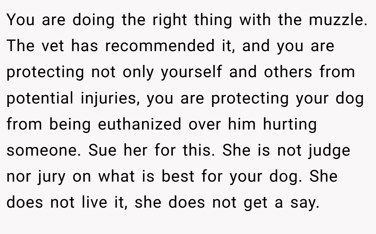 You are doing the right thing with the muzzle. The vet has recommended it, and you are protecting not only yourself and others from potential injuries, you are protecting your dog from being euthanized over him hurting someone. Sue her for this. She is not judge nor jury on what is best for your dog. She does not live it, she does not get a say.