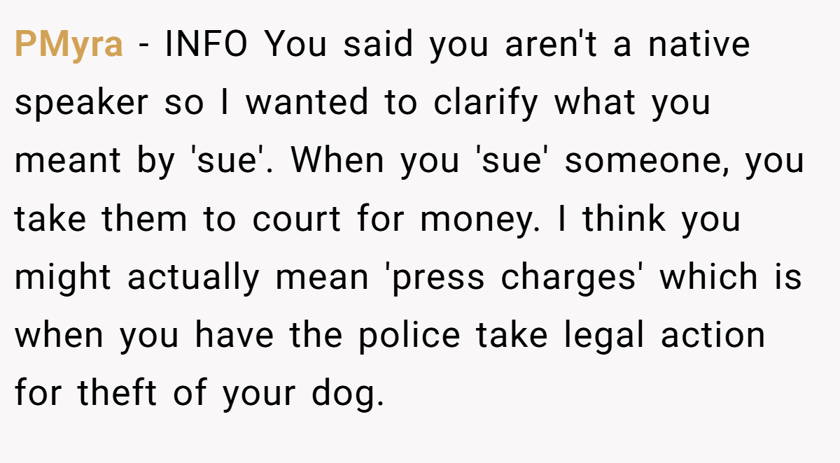 PMyra − INFO You said you aren't a native speaker so I wanted to clarify what you meant by 'sue'. When you 'sue' someone, you take them to court for money. I think you might actually mean 'press charges' which is when you have the police take legal action for theft of your dog.