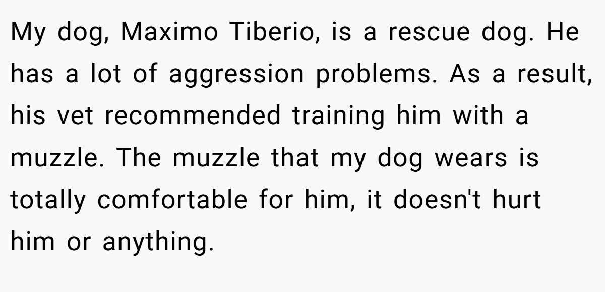 My dog, Maximo Tiberio, is a rescue dog. He has a lot of aggression problems. As a result, his vet recommended training him with a muzzle. The muzzle that my dog ​​wears is totally comfortable for him, it doesn't hurt him or anything.