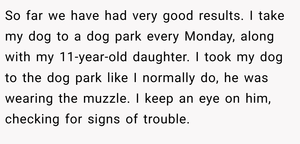 So far we have had very good results. I take my dog ​​to a dog park every Monday, along with my 11-year-old daughter. I took my dog ​​to the dog park like I normally do, he was wearing the muzzle. I keep an eye on him, checking for signs of trouble.