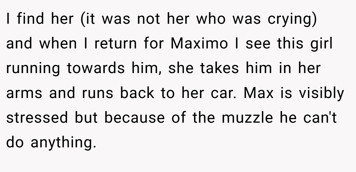 I find her (it was not her who was crying) and when I return for Maximo I see this girl running towards him, she takes him in her arms and runs back to her car. Max is visibly stressed but because of the muzzle he can't do anything.