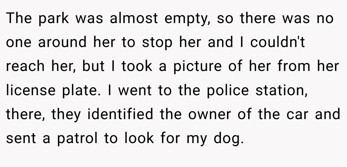 The park was almost empty, so there was no one around her to stop her and I couldn't reach her, but I took a picture of her from her license plate. I went to the police station, there, they identified the owner of the car and sent a patrol to look for my dog.