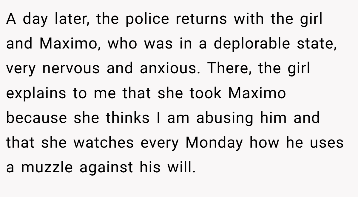 A day later, the police returns with the girl and Maximo, who was in a deplorable state, very nervous and anxious. There, the girl explains to me that she took Maximo because she thinks I am abusing him and that she watches every Monday how he uses a muzzle against his will.
