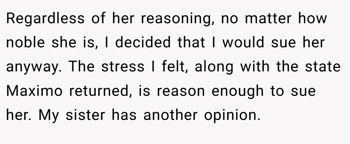 Regardless of her reasoning, no matter how noble she is, I decided that I would sue her anyway. The stress I felt, along with the state Maximo returned, is reason enough to sue her. My sister has another opinion.