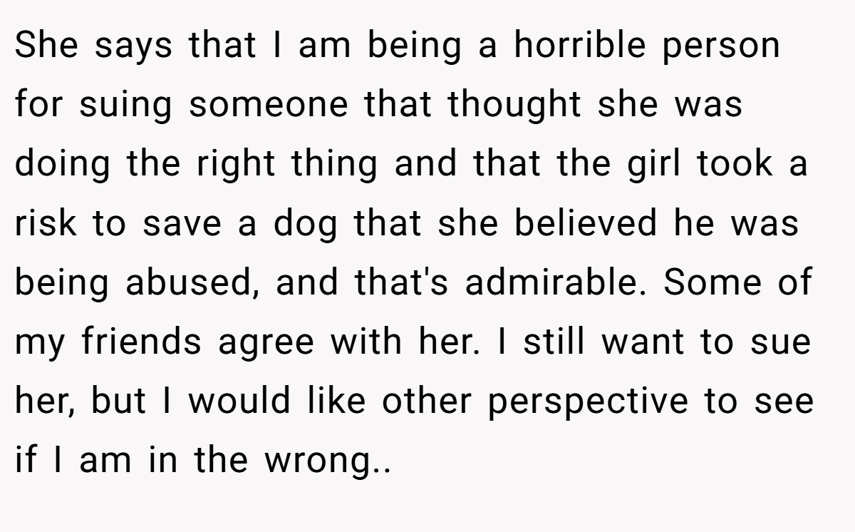 She says that I am being a horrible person for suing someone that thought she was doing the right thing and that the girl took a risk to save a dog that she believed he was being abused, and that's admirable. Some of my friends agree with her. I still want to sue her, but I would like other perspective to see if I am in the wrong..