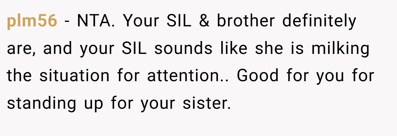 plm56 - NTA. Your SIL & brother definitely are, and your SIL sounds like she is milking the situation for attention.. Good for you for standing up for your sister.