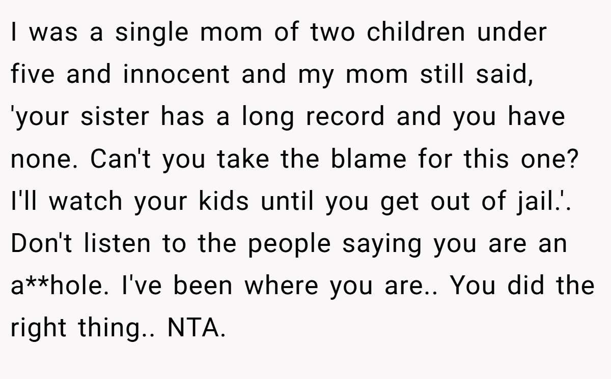 I was a single mom of two children under five and innocent and my mom still said, 'your sister has a long record and you have none. Can't you take the blame for this one? I'll watch your kids until you get out of jail.'. Don't listen to the people saying you are an a**hole. I've been where you are.. You did the right thing.. NTA.