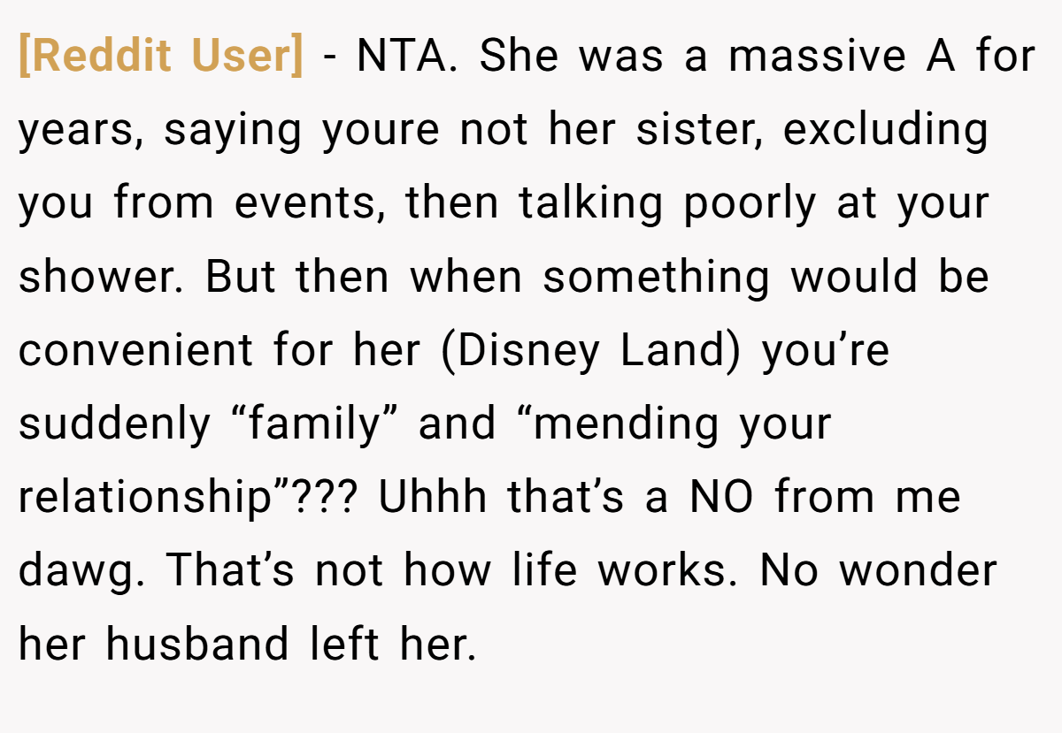 [Reddit User] − NTA. She was a massive A for years, saying youre not her sister, excluding you from events, then talking poorly at your shower. But then when something would be convenient for her (Disney Land) you’re suddenly “family” and “mending your relationship”??? Uhhh that’s a NO from me dawg. That’s not how life works. No wonder her husband left her.