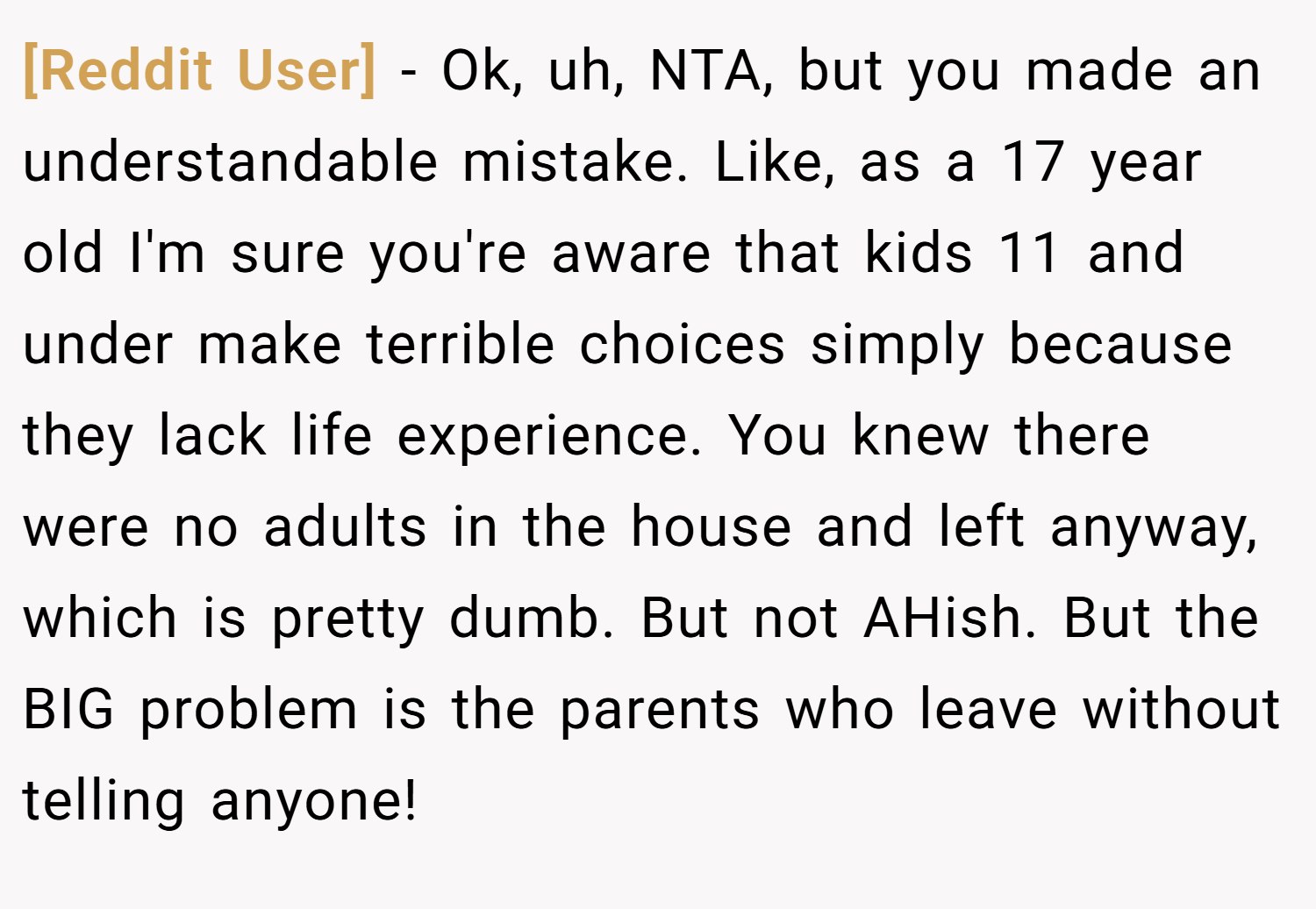 [Reddit User] − Ok, uh, NTA, but you made an understandable mistake. Like, as a 17 year old I'm sure you're aware that kids 11 and under make terrible choices simply because they lack life experience. You knew there were no adults in the house and left anyway, which is pretty dumb. But not AHish. But the BIG problem is the parents who leave without telling anyone!