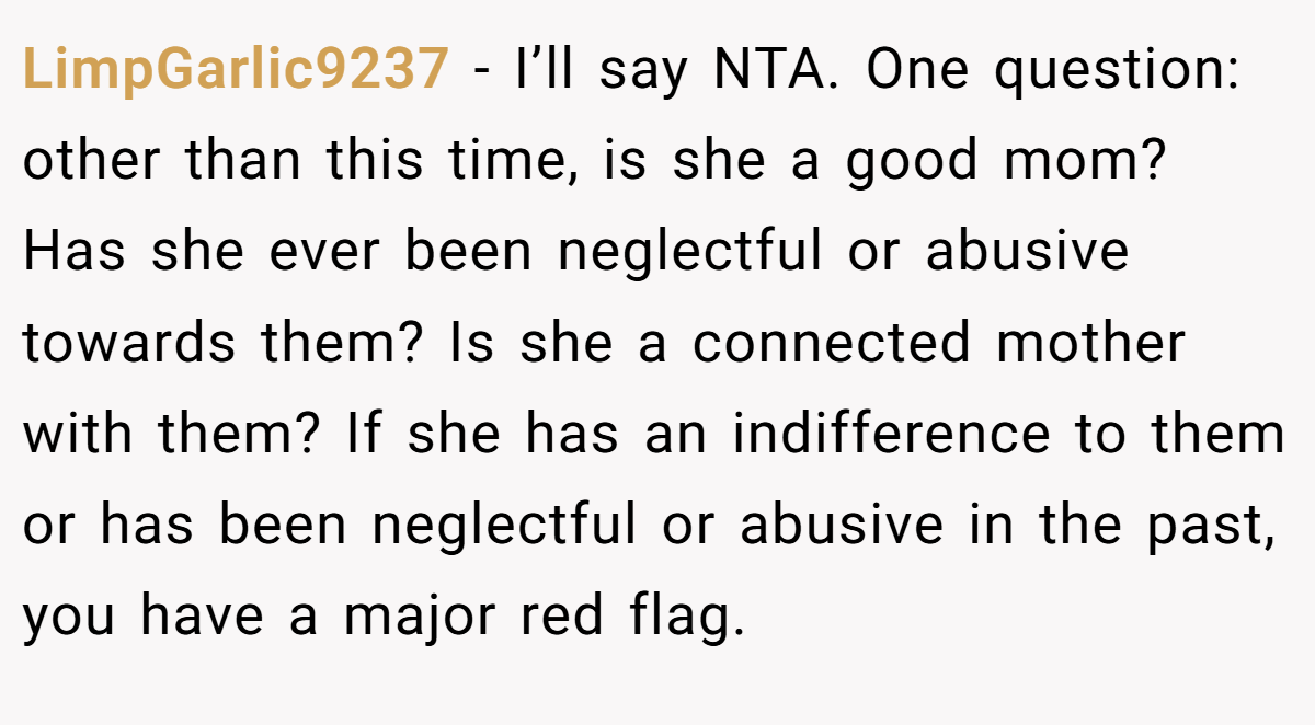 LimpGarlic9237 − I’ll say NTA. One question: other than this time, is she a good mom? Has she ever been neglectful or abusive towards them? Is she a connected mother with them? If she has an indifference to them or has been neglectful or abusive in the past, you have a major red flag.