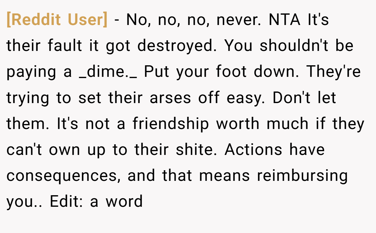 [Reddit User] − No, no, no, never. NTA It's their fault it got destroyed. You shouldn't be paying a _dime._ Put your foot down. They're trying to set their arses off easy. Don't let them. It's not a friendship worth much if they can't own up to their shite. Actions have consequences, and that means reimbursing you.. Edit: a word