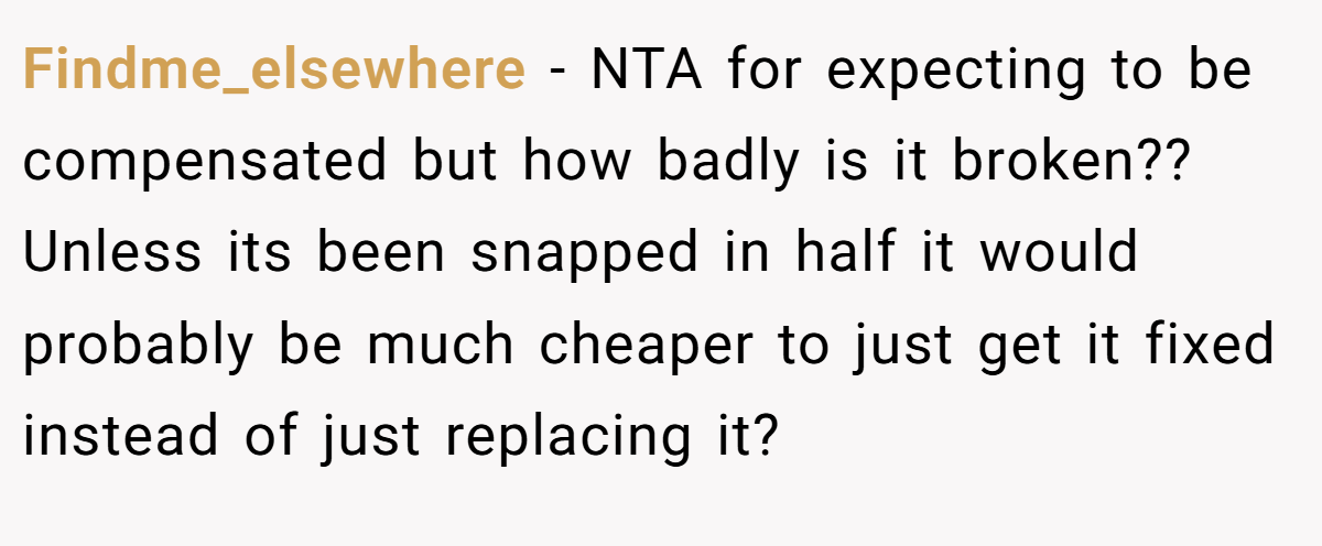 Findme_elsewhere − NTA for expecting to be compensated but how badly is it broken?? Unless its been snapped in half it would probably be much cheaper to just get it fixed instead of just replacing it?