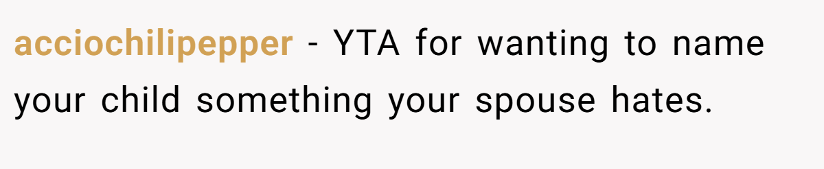 acciochilipepper − YTA for wanting to name your child something your spouse hates.
