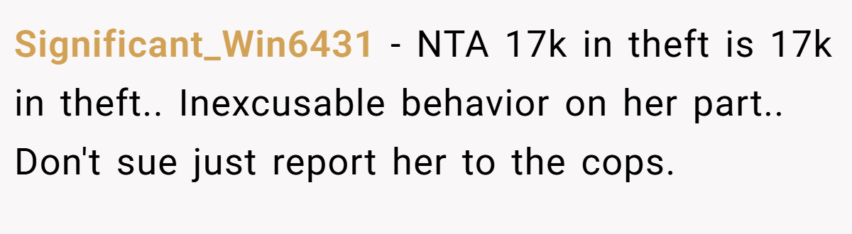 Significant_Win6431 − NTA 17k in theft is 17k in theft.. Inexcusable behavior on her part.. Don't sue just report her to the cops.