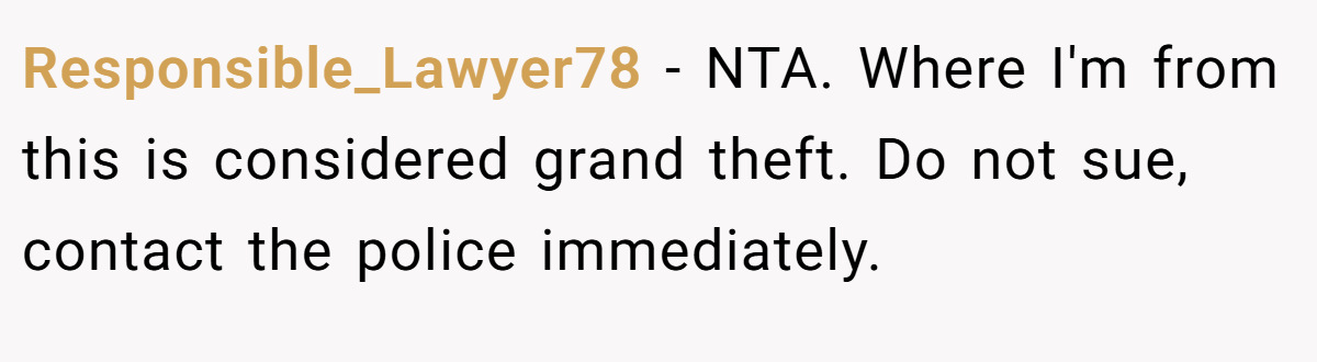 Responsible_Lawyer78 − NTA. Where I'm from this is considered grand theft. Do not sue, contact the police immediately.
