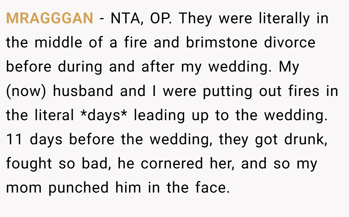 MRAGGGAN − NTA, OP. They were literally in the middle of a fire and brimstone divorce before during and after my wedding. My (now) husband and I were putting out fires in the literal *days* leading up to the wedding. 11 days before the wedding, they got drunk, fought so bad, he cornered her, and so my mom punched him in the face.