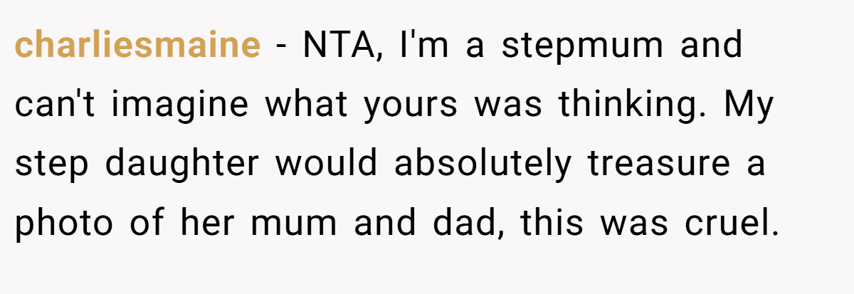 charliesmaine − NTA, I'm a stepmum and can't imagine what yours was thinking. My step daughter would absolutely treasure a photo of her mum and dad, this was cruel.