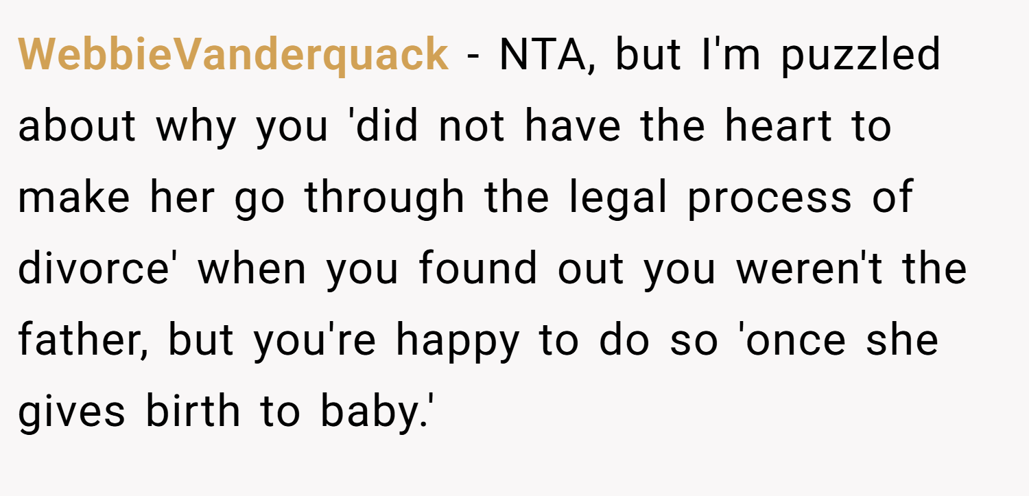 WebbieVanderquack − NTA, but I'm puzzled about why you 'did not have the heart to make her go through the legal process of divorce' when you found out you weren't the father, but you're happy to do so 'once she gives birth to baby.'