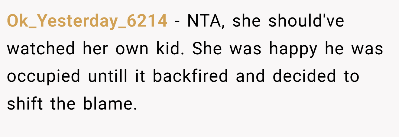 Ok_Yesterday_6214 - NTA, she should've watched her own kid. She was happy he was occupied untill it backfired and decided to shift the blame.