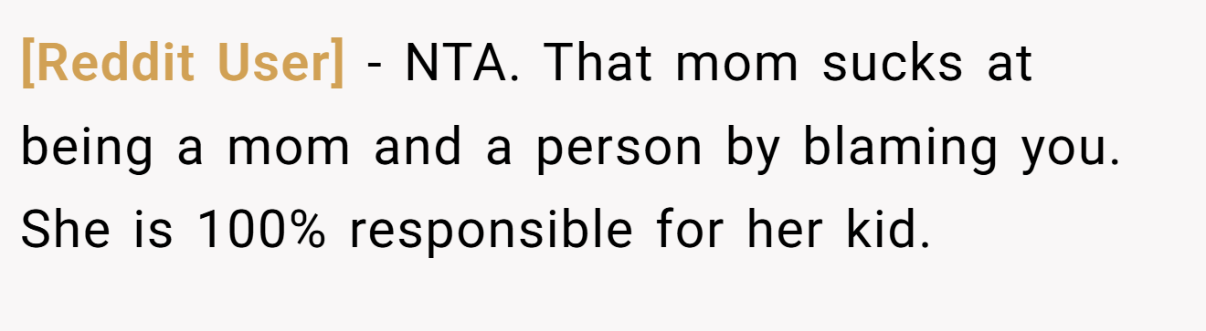 [Reddit User] - NTA. That mom sucks at being a mom and a person by blaming you. She is 100% responsible for her kid.