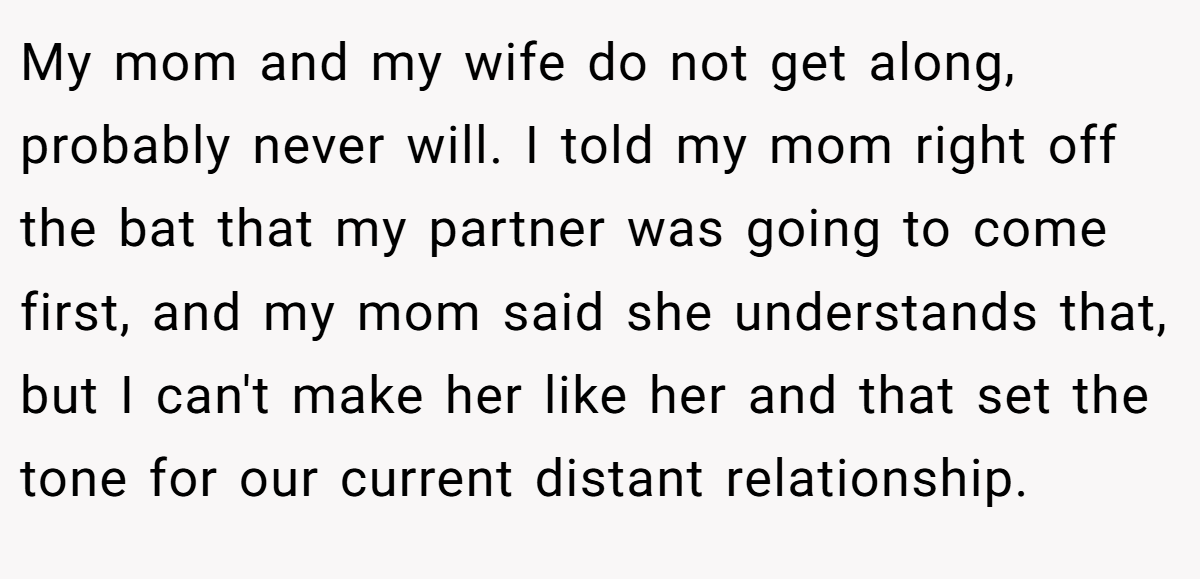 My mom and my wife do not get along, probably never will. I told my mom right off the bat that my partner was going to come first, and my mom said she understands that, but I can't make her like her and that set the tone for our current distant relationship.