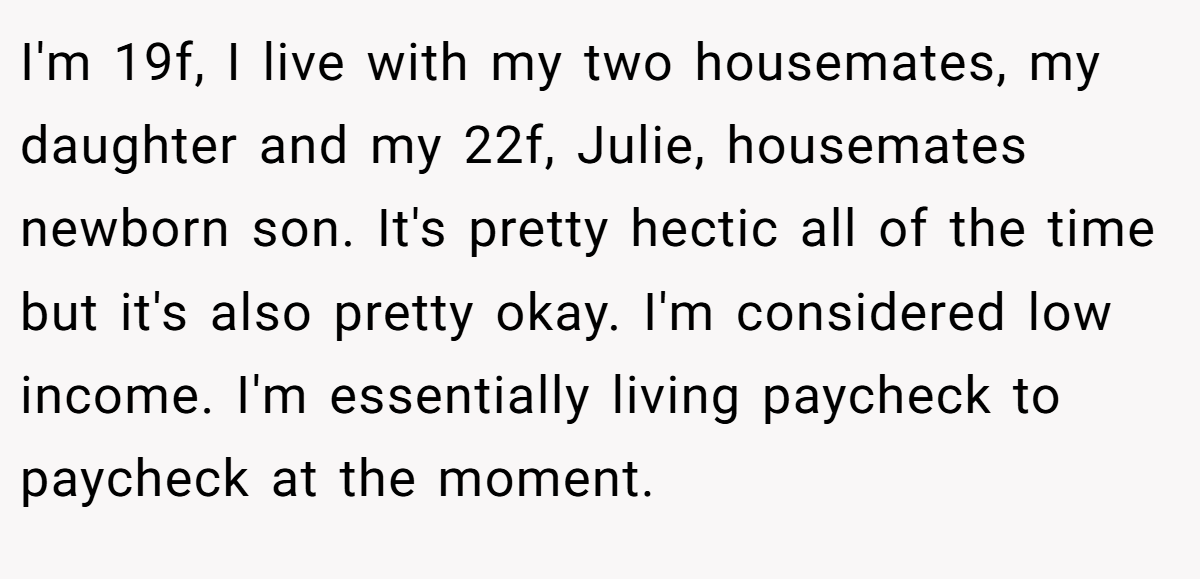 I'm 19f, I live with my two housemates, my daughter and my 22f, Julie, housemates newborn son. It's pretty hectic all of the time but it's also pretty okay. I'm considered low income. I'm essentially living paycheck to paycheck at the moment.