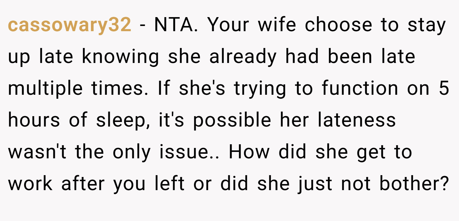 cassowary32 − NTA. Your wife choose to stay up late knowing she already had been late multiple times. If she's trying to function on 5 hours of sleep, it's possible her lateness wasn't the only issue.. How did she get to work after you left or did she just not bother?