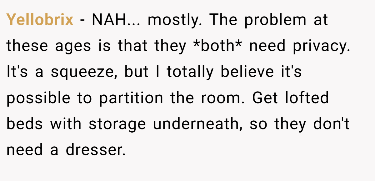 Yellobrix − NAH... mostly. The problem at these ages is that they *both* need privacy. It's a squeeze, but I totally believe it's possible to partition the room. Get lofted beds with storage underneath, so they don't need a dresser.