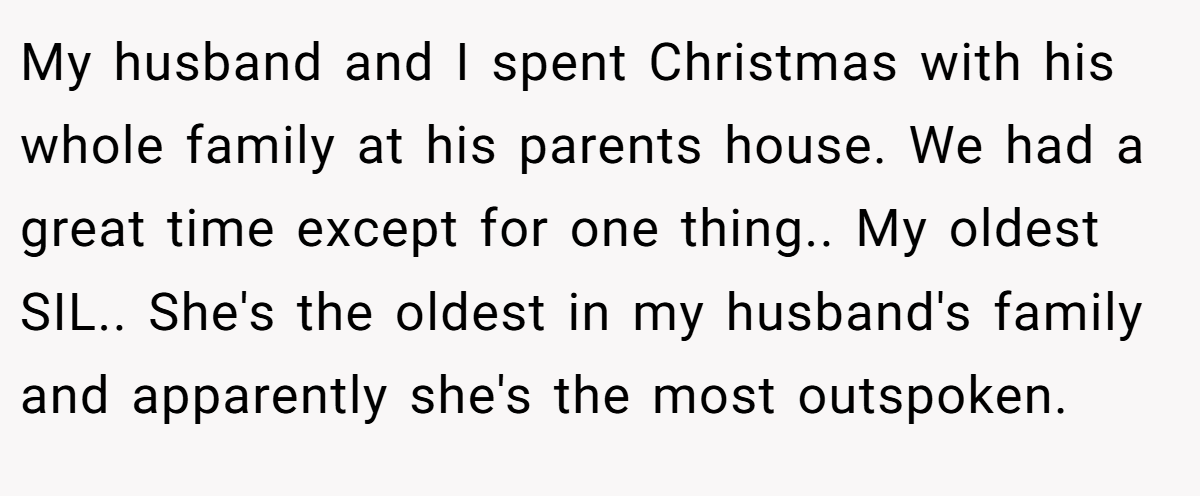 My husband and I spent Christmas with his whole family at his parents house. We had a great time except for one thing.. My oldest SIL.. She's the oldest in my husband's family and apparently she's the most outspoken.