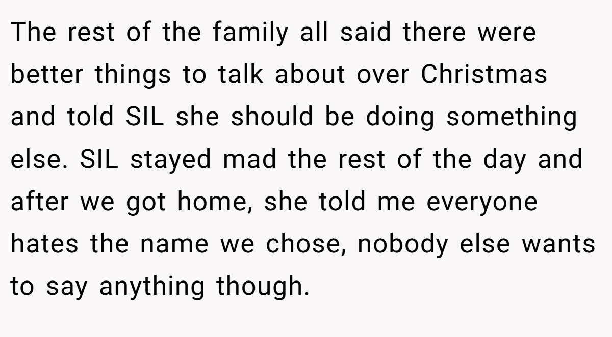 The rest of the family all said there were better things to talk about over Christmas and told SIL she should be doing something else. SIL stayed mad the rest of the day and after we got home, she told me everyone hates the name we chose, nobody else wants to say anything though.
