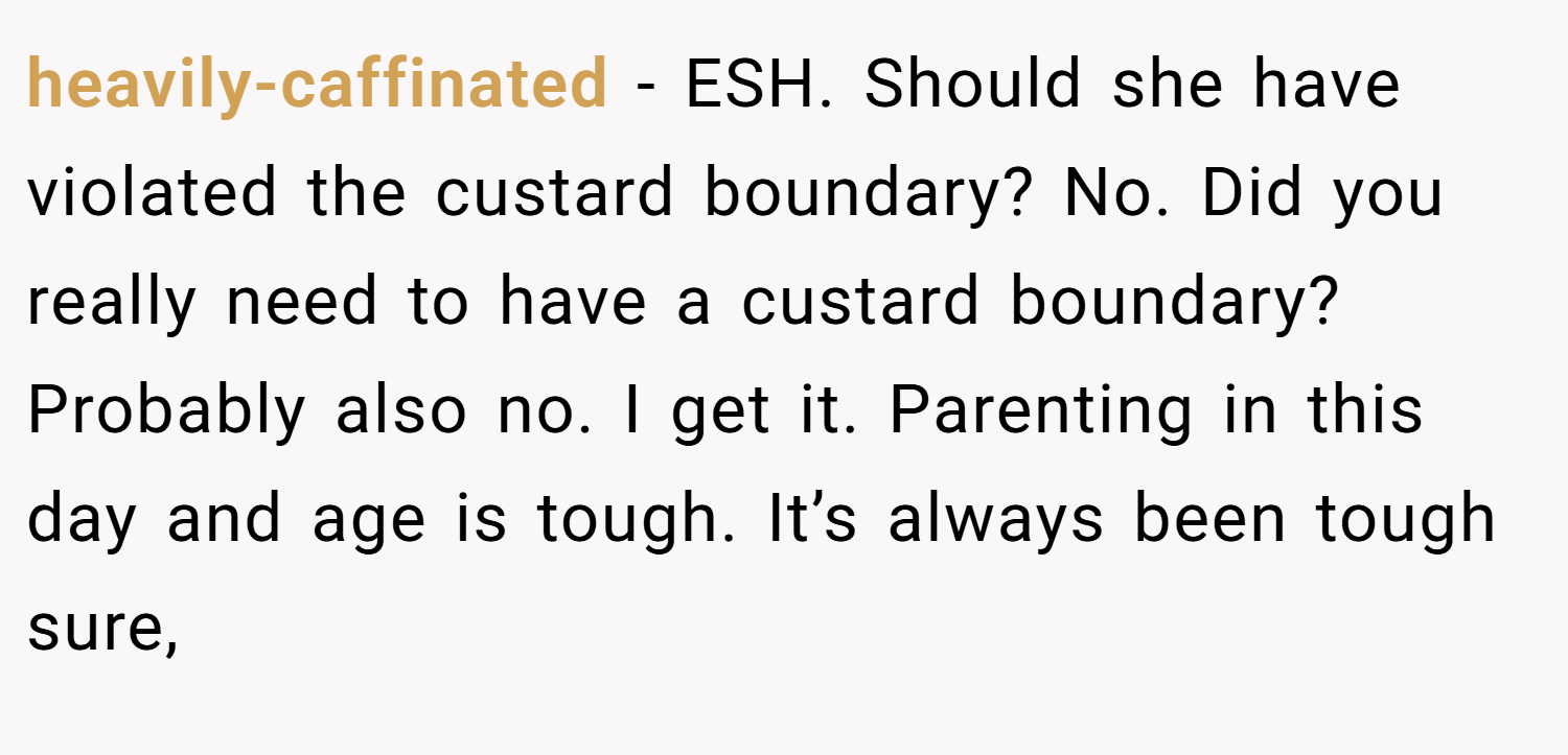 heavily-caffinated − ESH. Should she have violated the custard boundary? No. Did you really need to have a custard boundary? Probably also no. I get it. Parenting in this day and age is tough. It’s always been tough sure,
