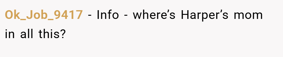 Ok_Job_9417 − Info - where’s Harper’s mom in all this?