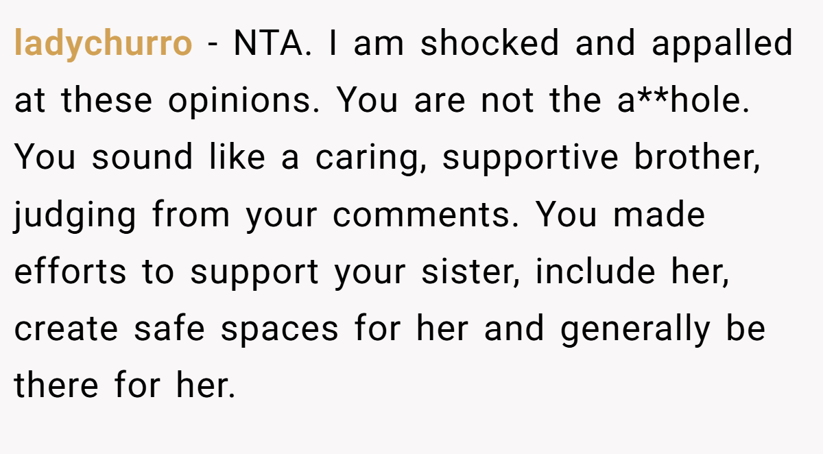 ladychurro − NTA. I am shocked and appalled at these opinions. You are not the a**hole. You sound like a caring, supportive brother, judging from your comments. You made efforts to support your sister, include her, create safe spaces for her and generally be there for her.